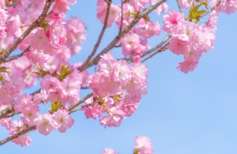 令和４年施行「重要土地等調査法の概要」